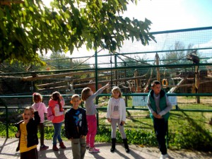 Zoopark_3